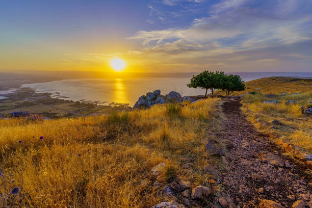 istockphoto-1398785071-612x612